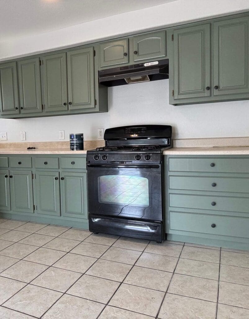 cabinet painting project after