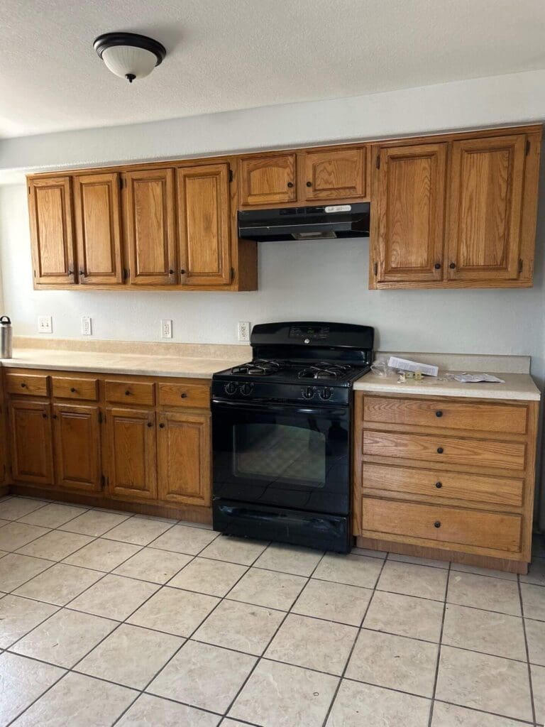 cabinet painting project before