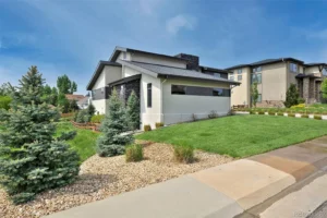 painting project gallery